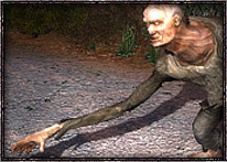 S.T.A.L.K.E.R.: Чистое Небо - Мутанты игры S.T.A.L.K.E.R. - вошедшие и вырезанные S.T.A.L.K.E.R.: Чистое Небо - Мутанты игры S.T.A.L.K.E.R. - вошедшие и вырезанные
